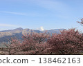 Mt. Aso and Sakura Kawazu 138462163