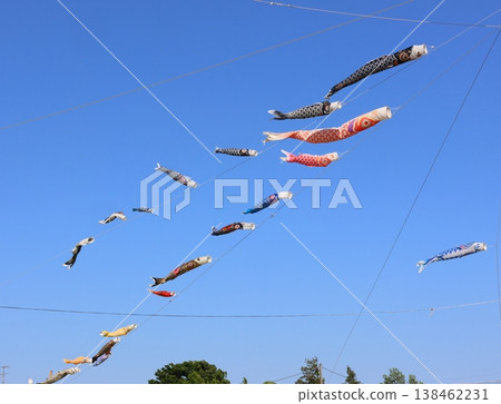 鯉魚彩帶在藍天中飄散;鯉魚彩帶,探戈節(男童節);黑鯉魚,紅鯉魚,小鯉魚 鯉魚彩帶在藍天中飄散;鯉魚彩帶,探戈節(男童節);黑鯉魚,紅鯉魚,小鯉魚 138462231