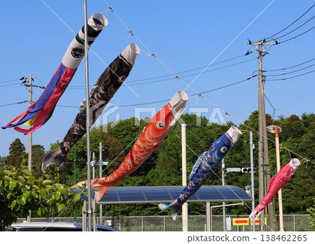 鯉魚彩帶在藍天中飄散;鯉魚彩帶,探戈節(男童節);黑鯉魚,紅鯉魚,小鯉魚 鯉魚彩帶在藍天中飄散;鯉魚彩帶,探戈節(男童節);黑鯉魚,紅鯉魚,小鯉魚 138462265
