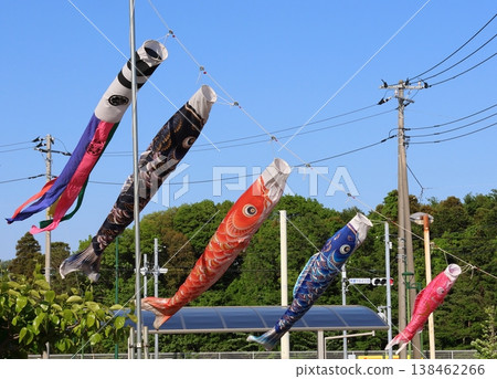 鯉魚彩帶在藍天中飄散;鯉魚彩帶,探戈節(男童節);黑鯉魚,紅鯉魚,小鯉魚 鯉魚彩帶在藍天中飄散;鯉魚彩帶,探戈節(男童節);黑鯉魚,紅鯉魚,小鯉魚 138462266