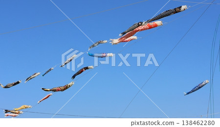 Carp streamers swimming in the blue sky; carp streamers, Tango no Sekku (Boys' Festival); black carp, red carp, baby carp Carp streamers swimming in the blue sky; carp streamers, Tango no Sekku (Boys' Festival); black carp, red carp, baby carp 138462280