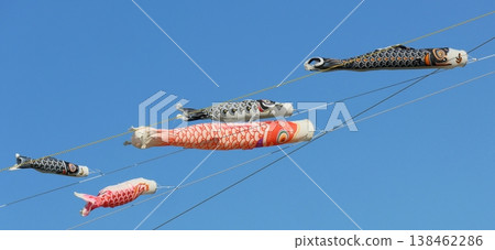 Carp streamers swimming in the blue sky; carp streamers, Tango no Sekku (Boys' Festival); black carp, red carp, baby carp 138462286