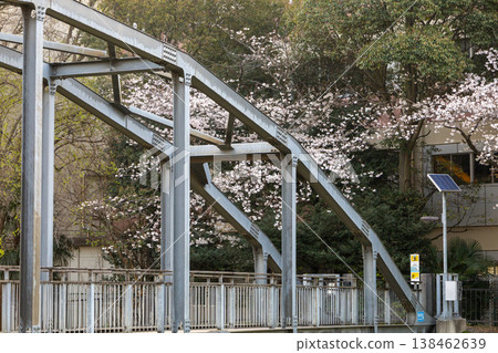埼玉縣朝霞市黑目川沿岸的春日景色。 埼玉縣朝霞市黑目川沿岸的春日景色。 138462639