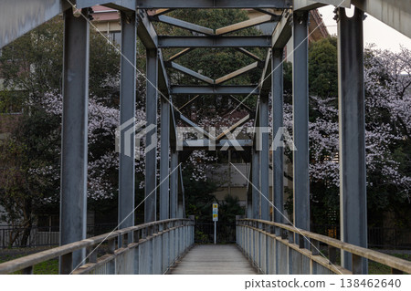 埼玉縣朝霞市黑目川沿岸的春日景色。 138462640