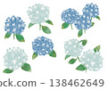 可愛的水彩風格繡球花插畫 138462649