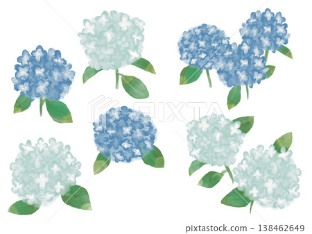 可愛的水彩風格繡球花插畫 可愛的水彩風格繡球花插畫 138462649