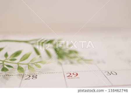 昭和日,4月29 - 日曆頁 - 自然圖像 昭和日,4月29 - 日曆頁 - 自然圖像 138462746