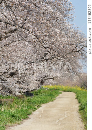 Sakurado Sakurado 138462803