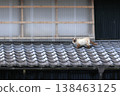 Cat walking on the roof 138463125