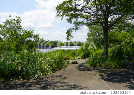 Chiyoda Dam in summer (July 2024) 138463164