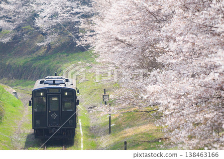 櫻花樹和「黑銀」（平成築峰鐵道） 138463166