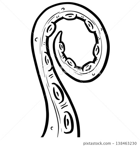 Graphic tentacle octopus suckers vector outline clipart illustration Graphic tentacle octopus suckers vector outline clipart illustration 138463230