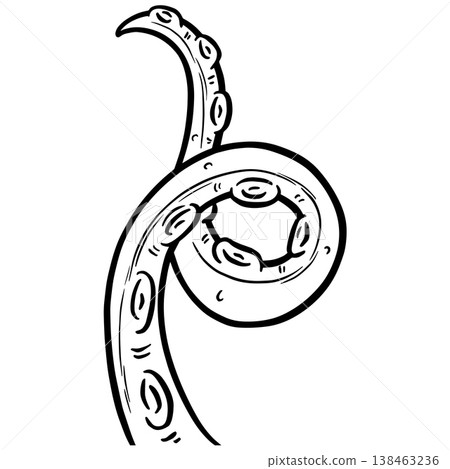 Graphic tentacle octopus suckers vector outline clipart illustration  138463236