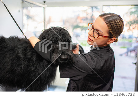 Professional dog groomer drying black poodle after bath 138463728