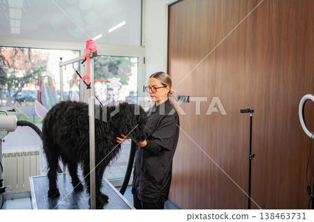 Professional groomer drying black pet dog at salon 138463731
