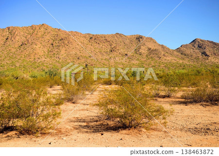 Windmill, Arizona Ranch 138463872