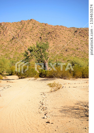 Winter San Tan Mountains Sonoran Desert Arizona Winter San Tan Mountains Sonoran Desert Arizona 138463874