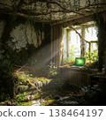 Abandoned Room Overgrown With Nature Sunlight Streaming Through Broken Window 138464197
