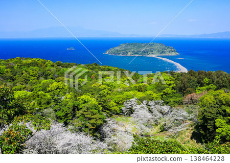 A breathtaking view of Chirin-ga-shima Island from Uomi-dake Mountain in the full bloom of spring, with cherry blossoms and lush greenery. 138464228