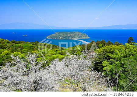 A breathtaking view of Chirin-ga-shima Island from Uomi-dake Mountain in the full bloom of spring, with cherry blossoms and lush greenery. 138464233