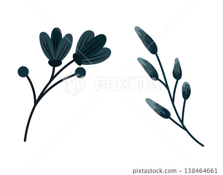 Minimal dark botanical elements with leaves and buds, simple flat vector set of modern floral branches, elegant nature illustration isolated on white background 138464661