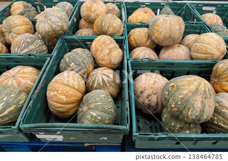 Variety of pumpkins displayed in green crates at a market 138464785