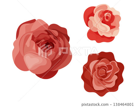 Red rose, flat vector illustration, elegant floral element isolated on white background, romantic botanical clipart for wedding cards and decor. Red rose, flat vector illustration, elegant floral element isolated on white background, romantic botanical clipart for wedding cards and decor. 138464801