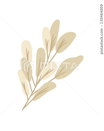 Minimal beige botanical branch with soft oval leaves, simple flat vector plant illustration, modern natural element isolated on white background Minimal beige botanical branch with soft oval leaves, simple flat vector plant illustration, modern natural element isolated on white background 138464809