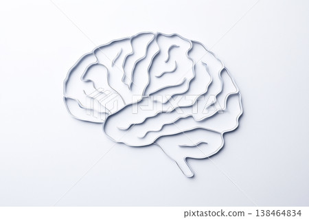 Human brain model on a white background offers a conceptual representation of intelligence, mental health, and cognitive functions. 138464834