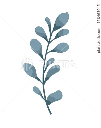 Minimal blue botanical branch with rounded leaves, simple flat vector plant illustration, modern natural element isolated on white background 138465045