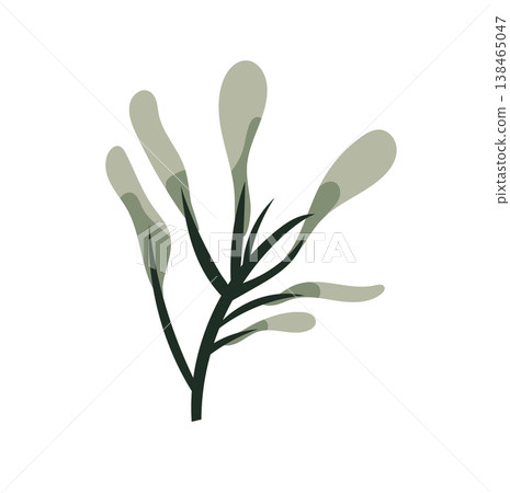 Minimal green botanical branch with elongated leaves and buds, simple flat vector plant element, modern natural illustration isolated on white background 138465047