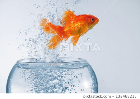 Goldfish leaps out of a fishbowl into the air, splashing water, illustrating freedom and the pursuit of change. Goldfish leaps out of a fishbowl into the air, splashing water, illustrating freedom and the pursuit of change. 138465213