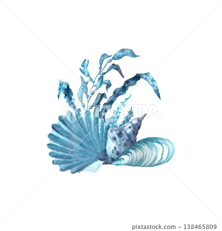 A marine composition of blue shells, sea urchins, and seaweed with leaves, hand-drawn in watercolor on an isolated background. Simple clip art of underwater objects for design. 138465809