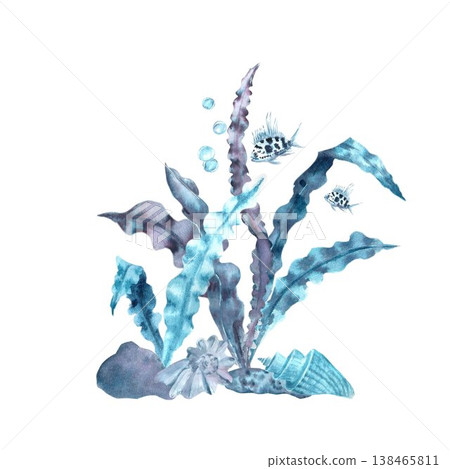 A marine composition of blue shells, sea urchins, seaweed with leaves and fish. , hand-drawn in watercolor on an isolated background. Simple clip art of underwater objects for design. 138465811