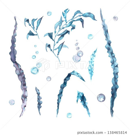 A collection of hand-drawn watercolor seaweed in blue, gray, and purple with leaves and bubbles on an isolated background. Simple clip art of underwater objects with room for design and decoration. 138465814