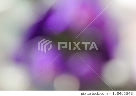 Ethereal purple orchid bokeh background with soft dreamlike lighting for artistic botanical concept Ethereal purple orchid bokeh background with soft dreamlike lighting for artistic botanical concept 138465848