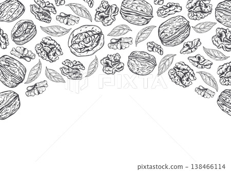 Walnuts monochrome vector isolated rectangle border. Whole unshelled nuts, shelled kernels, leaves frame with copy space for text. Food template for recipe cards, autumn harvest flyers, bakery labels Walnuts monochrome vector isolated rectangle border. Whole unshelled nuts, shelled kernels, leaves frame with copy space for text. Food template for recipe cards, autumn harvest flyers, bakery labels 138466114