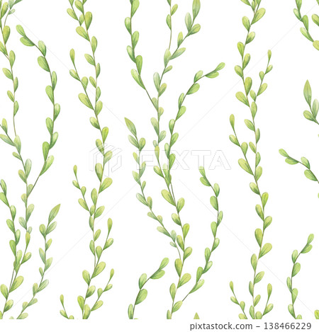 Intertwined green grass blades with leaves watercolor seamless pattern on isolated background. Wild meadow green leaves illustration. Natural ornate for greeting cards, notebook covers, spice labels Intertwined green grass blades with leaves watercolor seamless pattern on isolated background. Wild meadow green leaves illustration. Natural ornate for greeting cards, notebook covers, spice labels 138466229