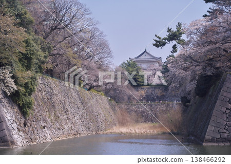 View of Nagoya Castle's small keep, with cherry blossoms in full bloom, from the outer moat. 138466292