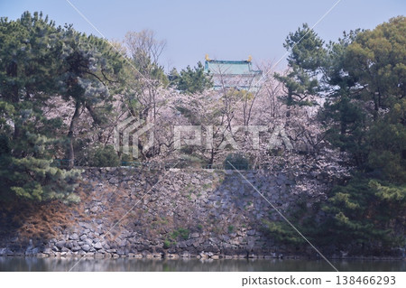 View of Nagoya Castle's main tower with cherry blossoms in full bloom from the outer moat. View of Nagoya Castle's main tower with cherry blossoms in full bloom from the outer moat. 138466293