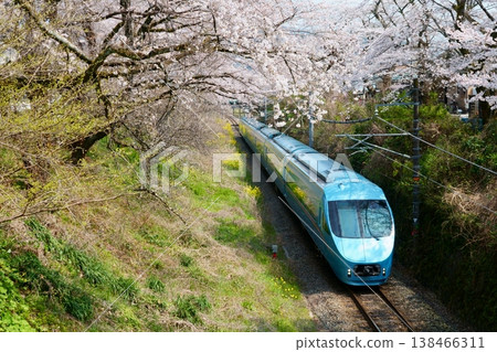【禦殿場線】小田急浪漫特快(60000系列MSE)行駛在山北櫻花盛開的街道上。 【禦殿場線】小田急浪漫特快(60000系列MSE)行駛在山北櫻花盛開的街道上。 138466311