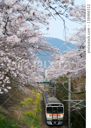 [Yamashita Cherry Blossom Avenue] 315 series trains begin operation on the Gotemba Line 138466312