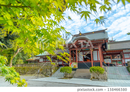 The shrine buildings of Kagoshima Jingu in Kirishima City, Kagoshima Prefecture, and the scenery of fresh spring greenery. 138466380