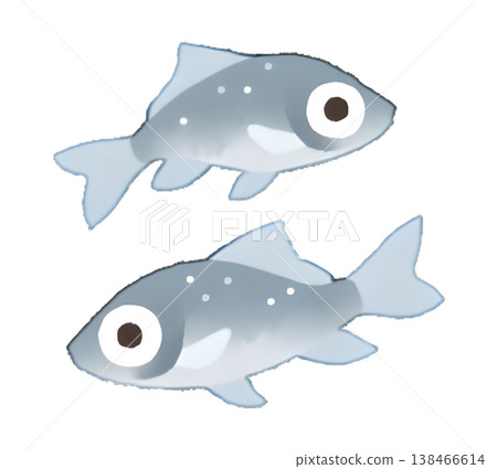 鯽魚(淡水魚)插圖,水彩風格,透明PNG格式。 鯽魚(淡水魚)插圖,水彩風格,透明PNG格式。 138466614