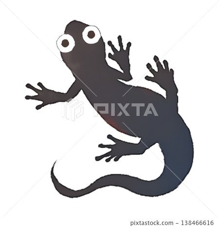 日本火腹蠑螈（兩棲類）插圖，水彩風格，透明PNG格式。 138466616