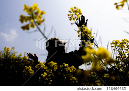 A silhouette of a person reaching out in a field of rapeseed flowers – an image of spring. 138466685