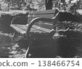 A black and white film photograph of a scene with a bench in Haramune Park, Tama City, Tokyo. 138466754