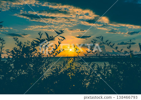 夕陽 138466793
