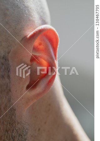 Closeup Human Ear with Sunlight Glow Closeup Human Ear with Sunlight Glow 138467705