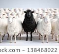 Black sheep among white sheep, being different concept 138468022